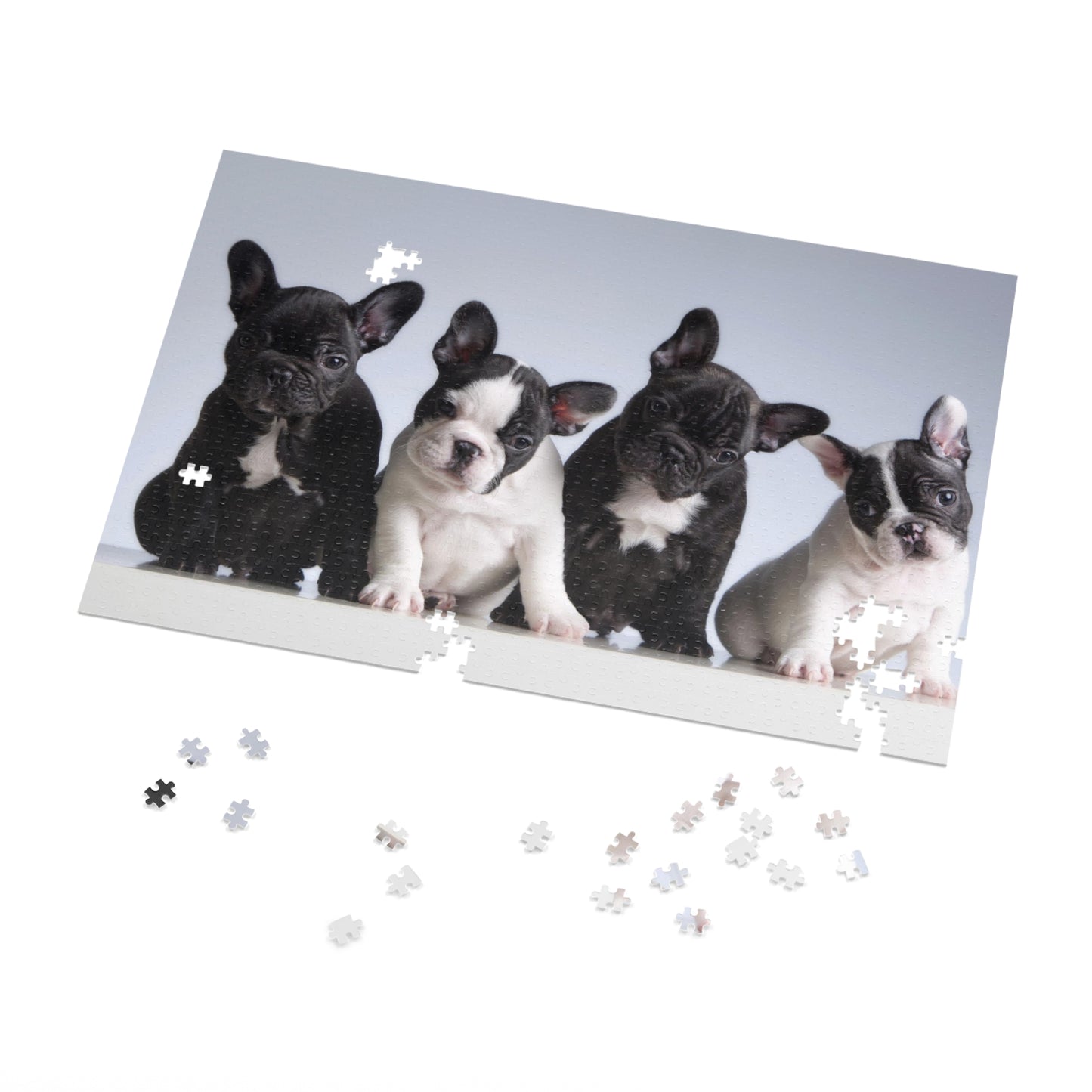 Four French Bulldogs Jigsaw Puzzle ( 500,1000-Piece)