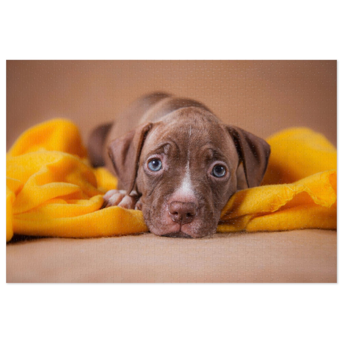 Blue Eye Pit Bull Jigsaw Puzzle ( 500,1000-Piece)