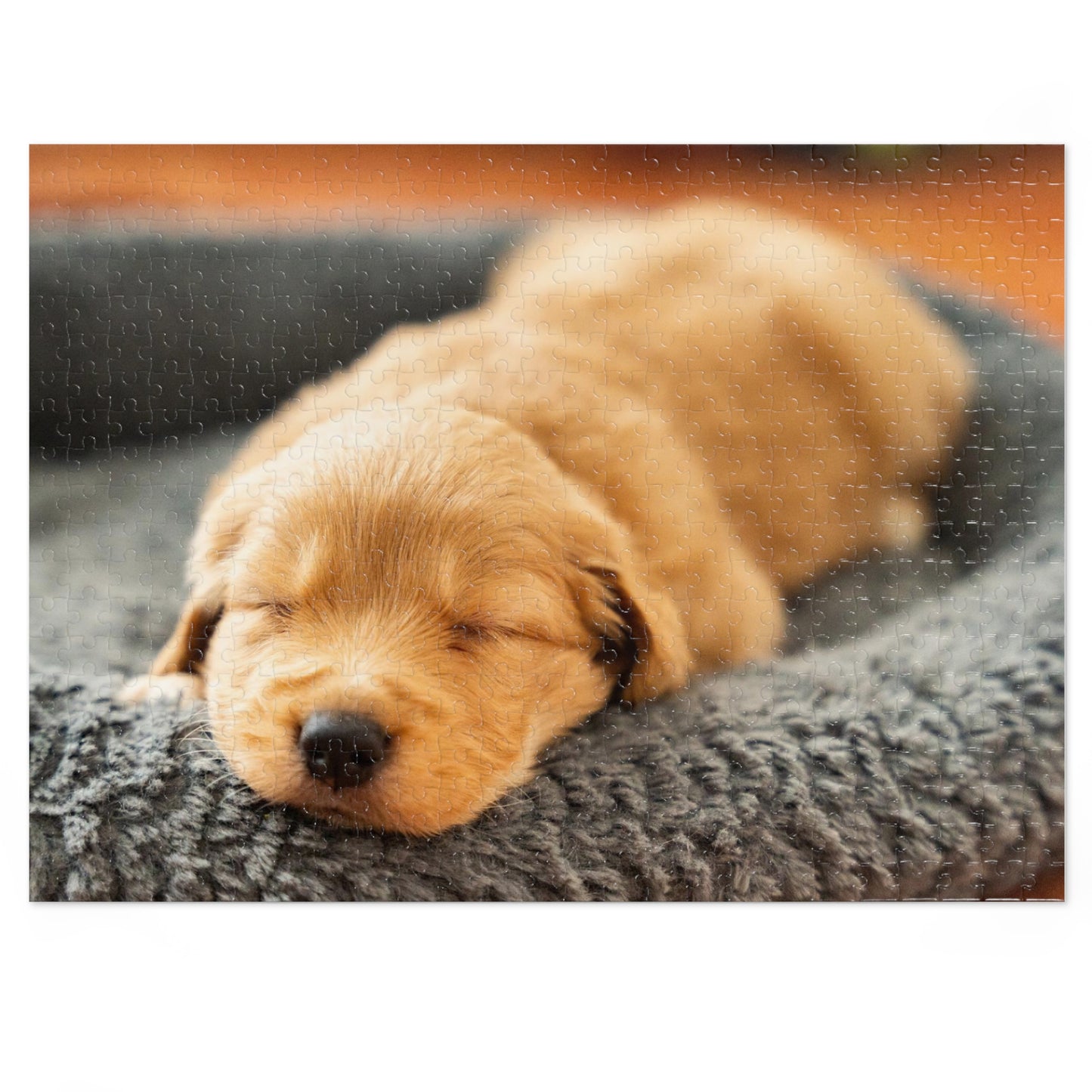 Golden Retriever Sleeping Jigsaw Puzzle ( 500,1000-Piece)