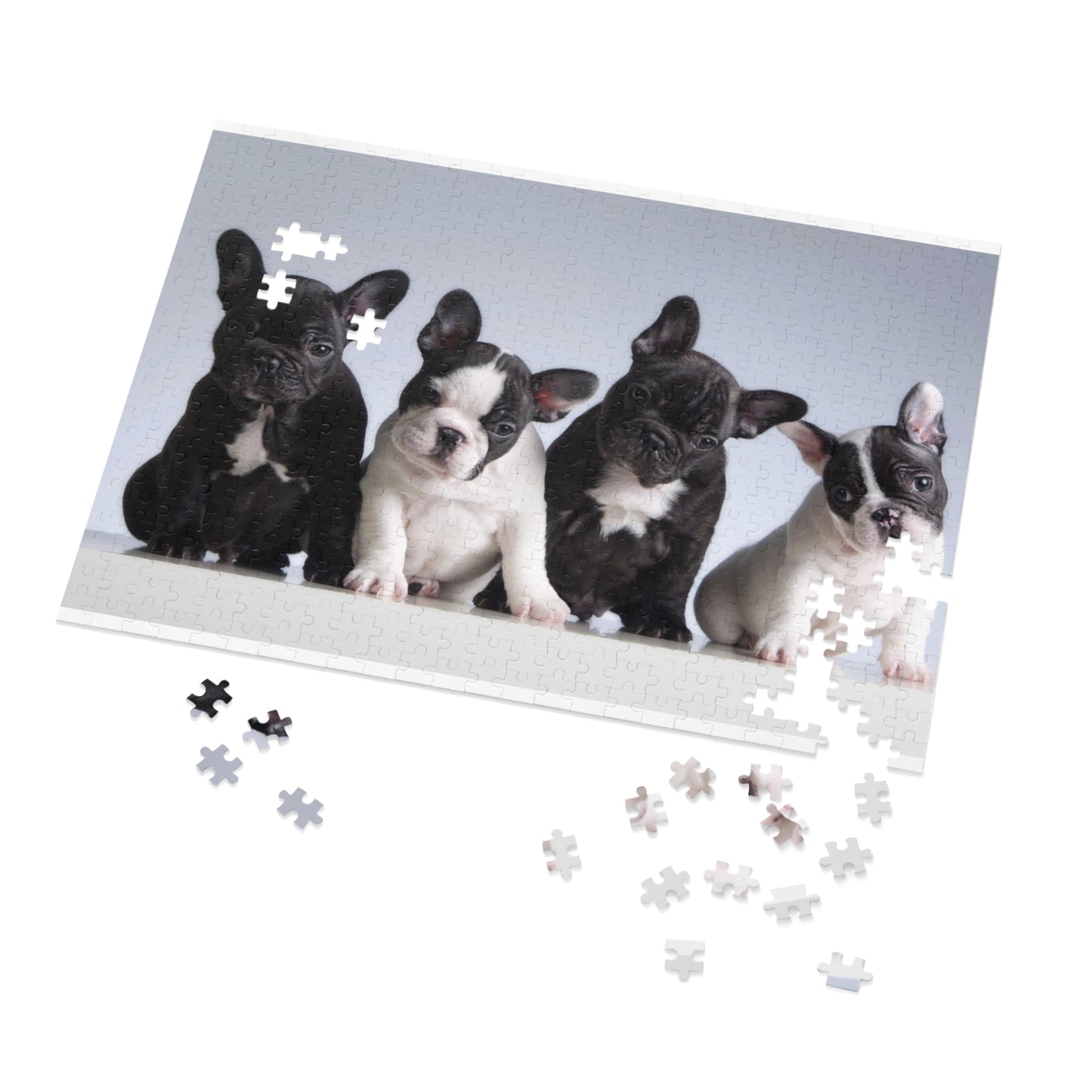 Four French Bulldogs Jigsaw Puzzle ( 500,1000-Piece)