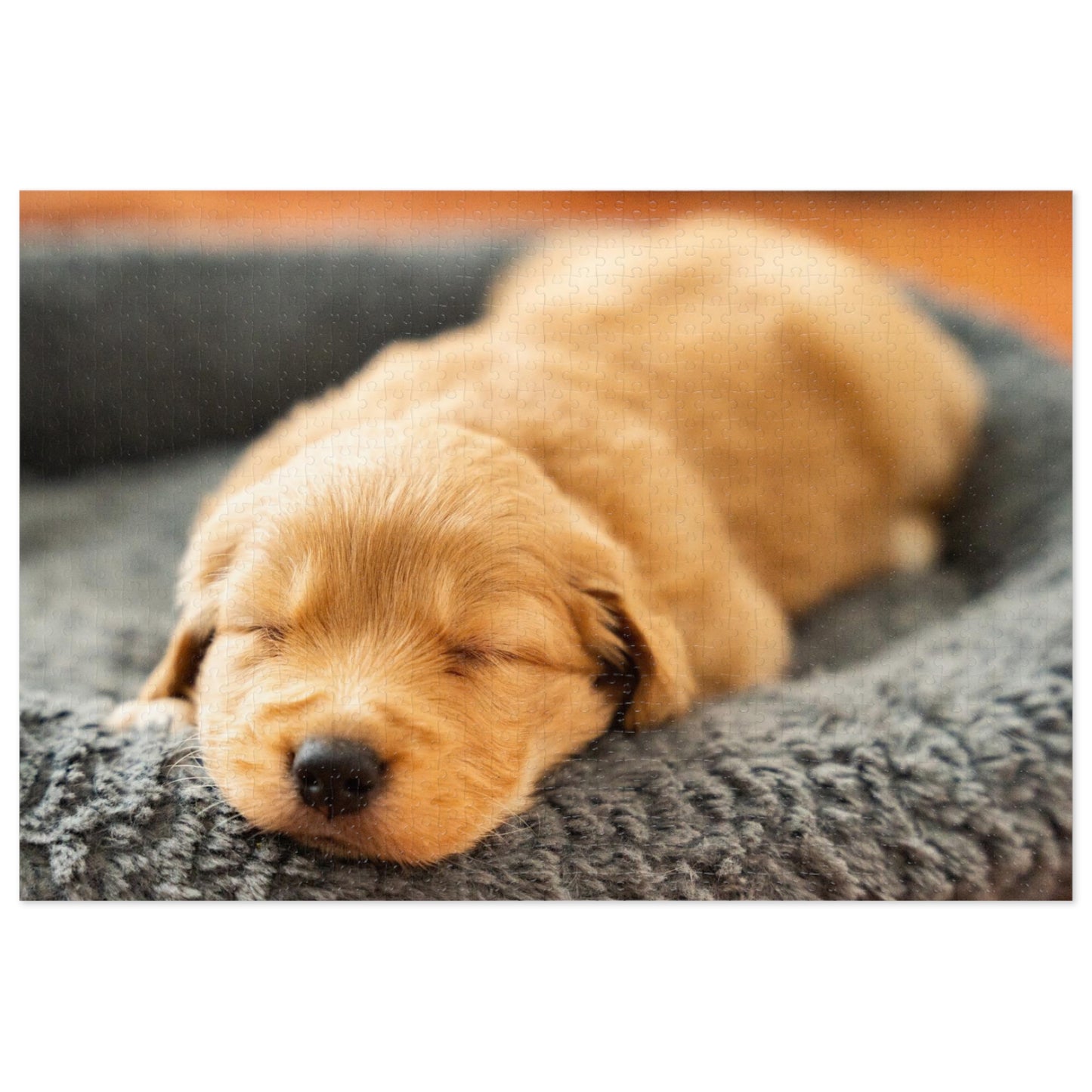 Golden Retriever Sleeping Jigsaw Puzzle ( 500,1000-Piece)