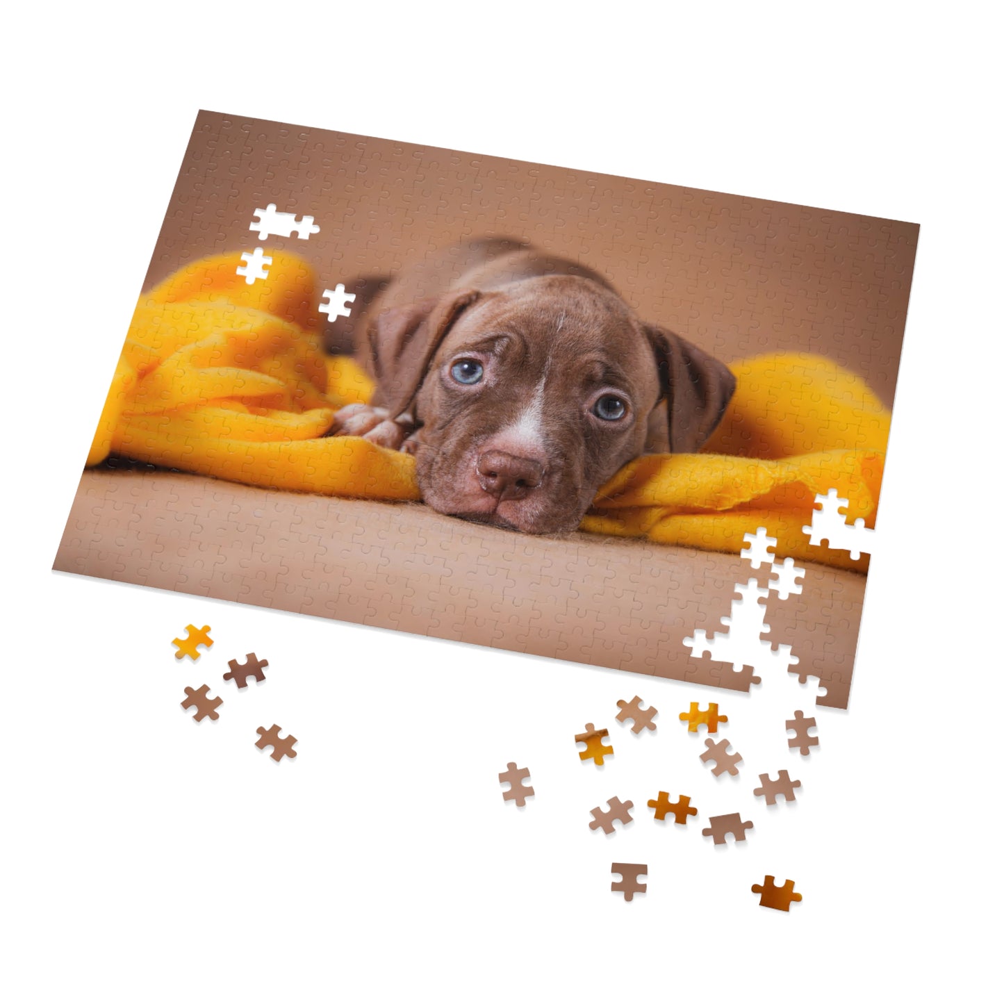 Blue Eye Pit Bull Jigsaw Puzzle ( 500,1000-Piece)