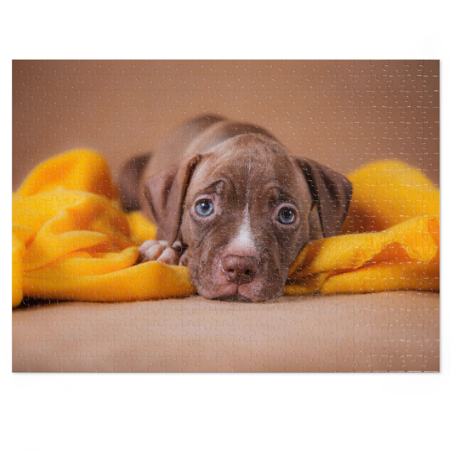 Blue Eye Pit Bull Jigsaw Puzzle ( 500,1000-Piece)