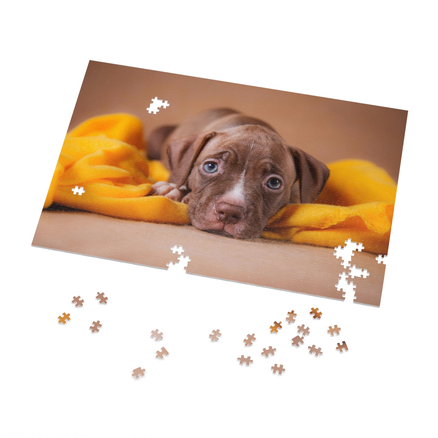 Blue Eye Pit Bull Jigsaw Puzzle ( 500,1000-Piece)