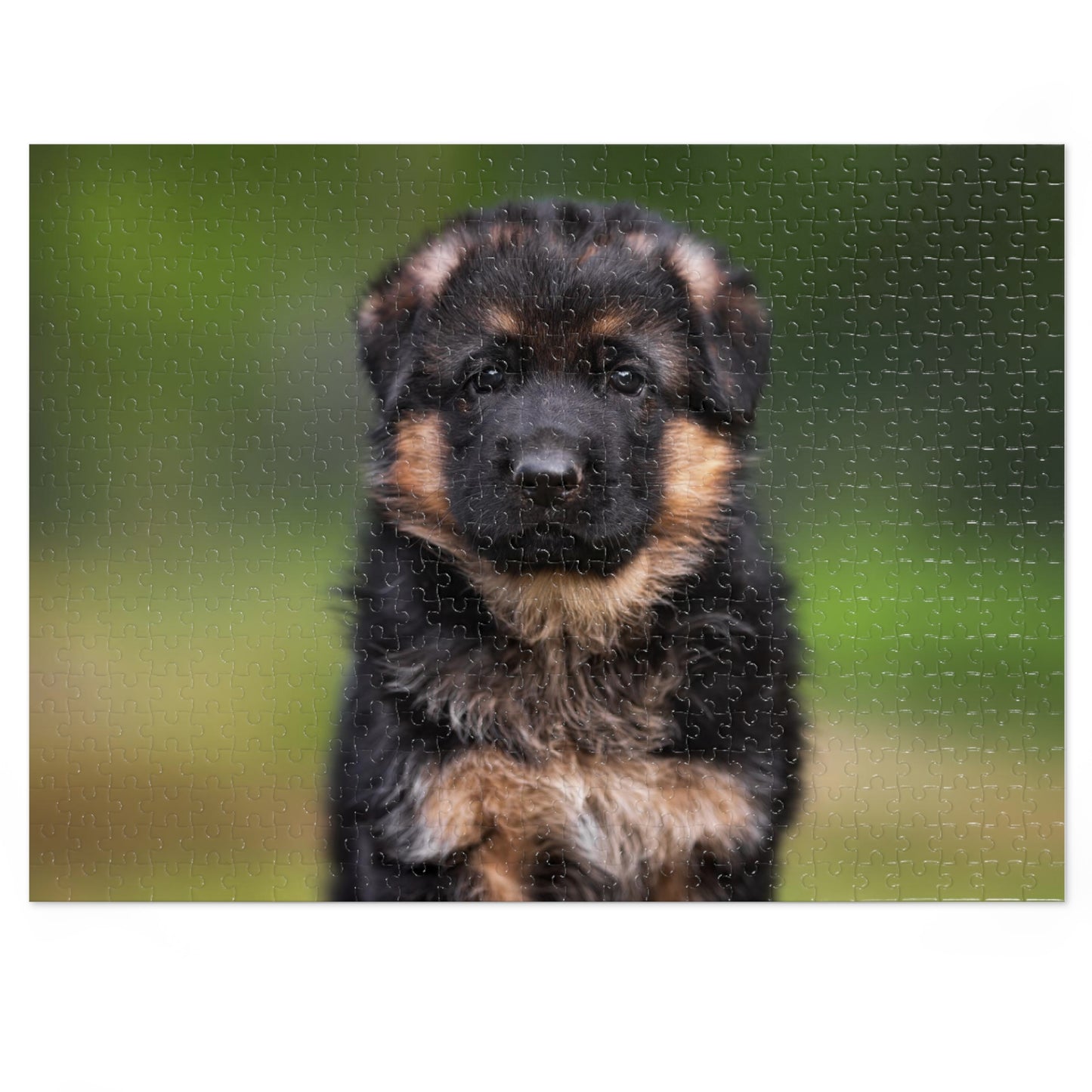 Puppy German Shepherd Jigsaw Puzzle ( 500,1000-Piece)